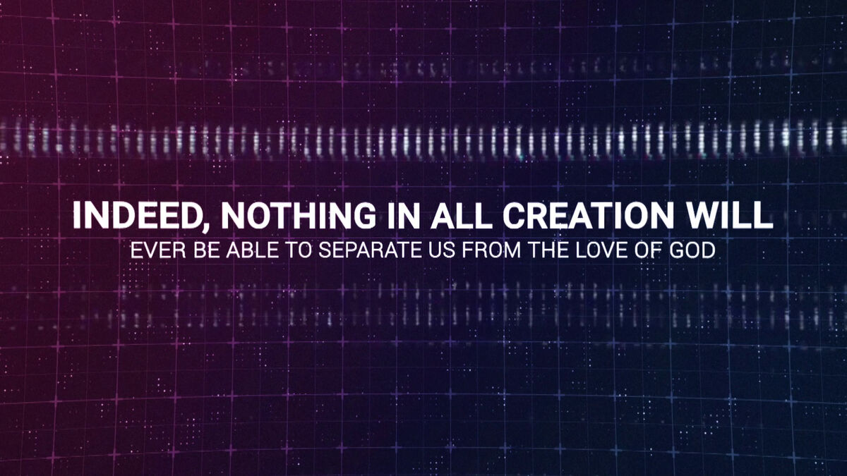 Scripture Video Three Pack image number null